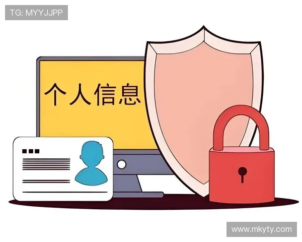 开云客户端安全性分析与隐私保护措施，保障玩家个人信息安全